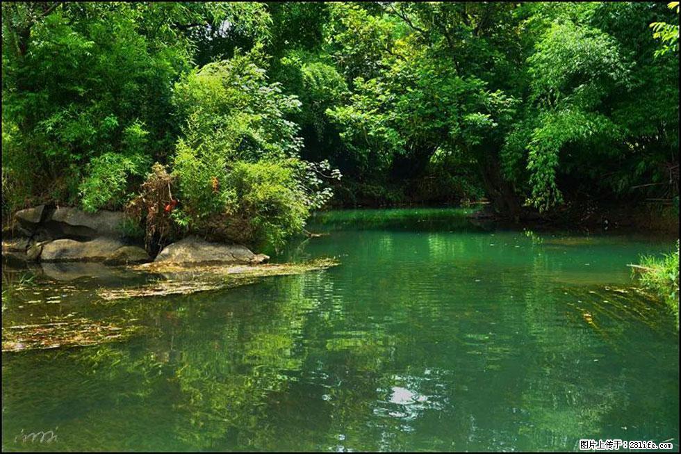 【春天,广西桂林灌阳县向您发出邀请!】如梦似幻莲溪庐 - 游山玩水 - 嘉兴生活社区 - 嘉兴28生活网 jx.28life.com