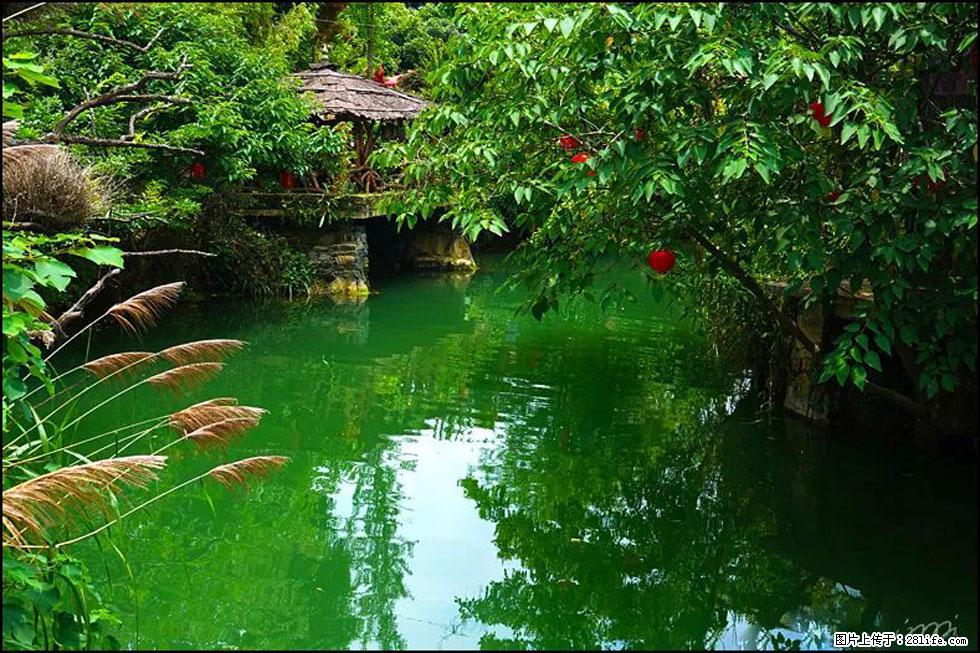 【春天,广西桂林灌阳县向您发出邀请!】如梦似幻莲溪庐 - 游山玩水 - 嘉兴生活社区 - 嘉兴28生活网 jx.28life.com