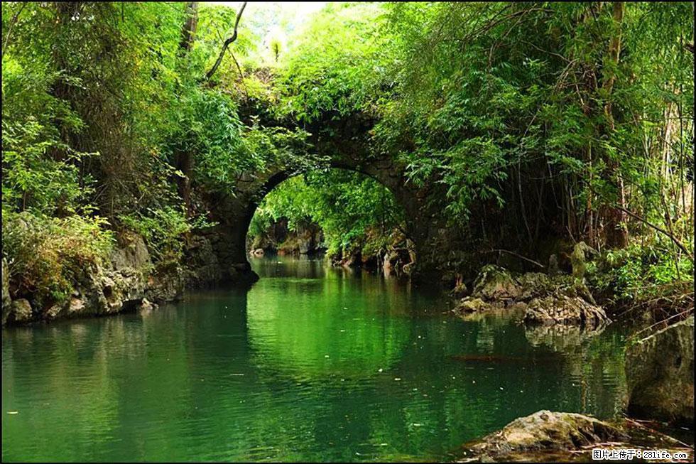 【春天,广西桂林灌阳县向您发出邀请!】如梦似幻莲溪庐 - 游山玩水 - 嘉兴生活社区 - 嘉兴28生活网 jx.28life.com