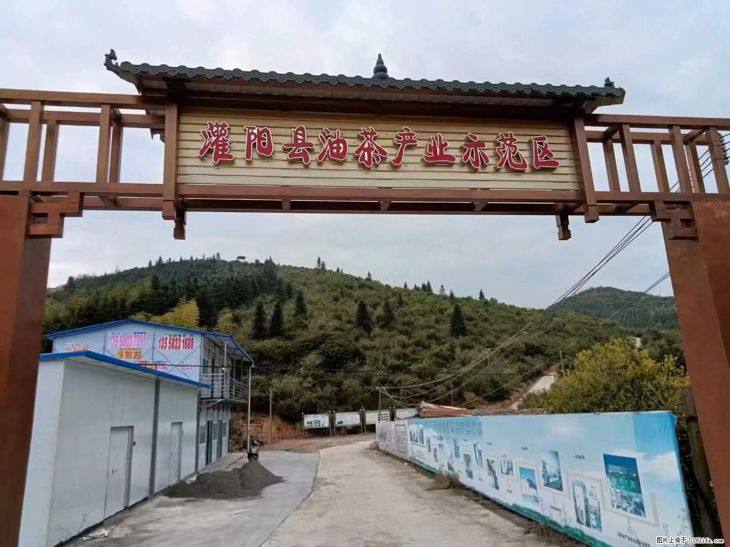 【灌阳县油茶产业示范区】一个有着充实的精神生活的人，对待身外之物自会有一种淡泊的态度 - 美食天地 - 嘉兴生活社区 - 嘉兴28生活网 jx.28life.com