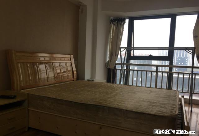 嘉兴学院 水果市场 大润发 八佰伴附近1300大量 - 房屋出租 - 房屋租售 - 嘉兴分类信息 - 嘉兴28生活网 jx.28life.com