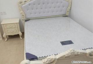 泰富世界城 新文化广场 颐高广场 月星家居多套公寓有照片 - 嘉兴28生活网 jx.28life.com