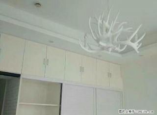 嘉兴学院 水果市场 大润发 嘉职院附近泰富世界城精装修公寓 - 嘉兴28生活网 jx.28life.com