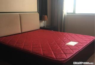 水果市场 大润发 嘉兴学院 嘉职院附近公寓出租 - 嘉兴28生活网 jx.28life.com