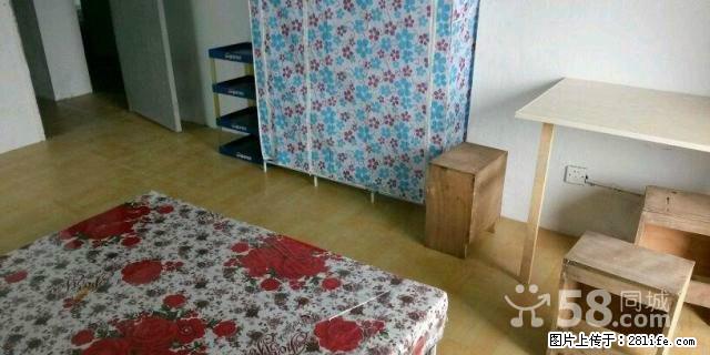 (单间出租)嘉兴火车站紫景雅苑 3室1厅 中等装修 朝南 次卧 - 房屋出租 - 房屋租售 - 嘉兴分类信息 - 嘉兴28生活网 jx.28life.com