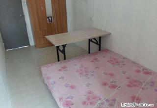 (单间出租)新城朗香郡 4室2厅 中等装修 朝南 次卧 - 嘉兴28生活网 jx.28life.com