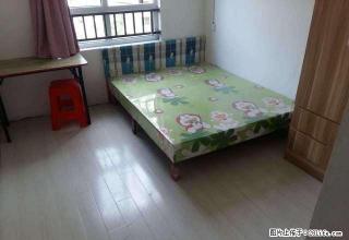 (单间出租)新城朗香郡 4室2厅 中等装修 朝南 次卧 - 嘉兴28生活网 jx.28life.com