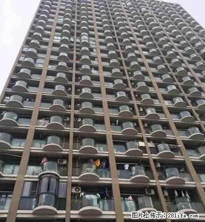 八佰伴,嘉兴学院旁,精装单身公寓,拎包入住。 - 房屋出租 - 房屋租售 - 嘉兴分类信息 - 嘉兴28生活网 jx.28life.com