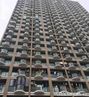 八佰伴，嘉兴学院旁，精装单身公寓，拎包入住。 - 嘉兴28生活网 jx.28life.com