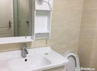 月星 新文化 颐高 泰富 四季观邸 多套租1300至2000 - 嘉兴28生活网 jx.28life.com