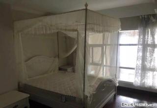 四季观邸 泰富 月星 颐高 专业出租 1400到3000 - 嘉兴28生活网 jx.28life.com