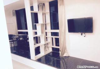 水果市场 嘉兴学院 八佰伴 大润发附近单身公寓1300起 - 嘉兴28生活网 jx.28life.com