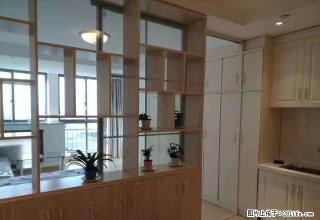 月星 环球 秀洲区 1300 2500大量精致公寓 随时看 - 嘉兴28生活网 jx.28life.com