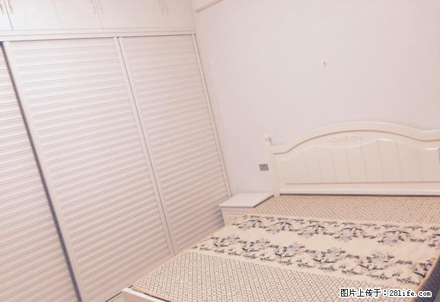 月星家居环球国际一室精装修出租 - 房屋出租 - 房屋租售 - 嘉兴分类信息 - 嘉兴28生活网 jx.28life.com