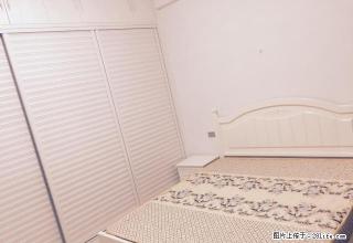 月星家居环球国际一室精装修出租 - 嘉兴28生活网 jx.28life.com