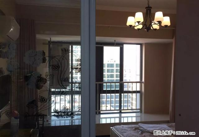 月星家居 短租 精装公寓 有钥匙 随时看1200起 - 房屋出租 - 房屋租售 - 嘉兴分类信息 - 嘉兴28生活网 jx.28life.com