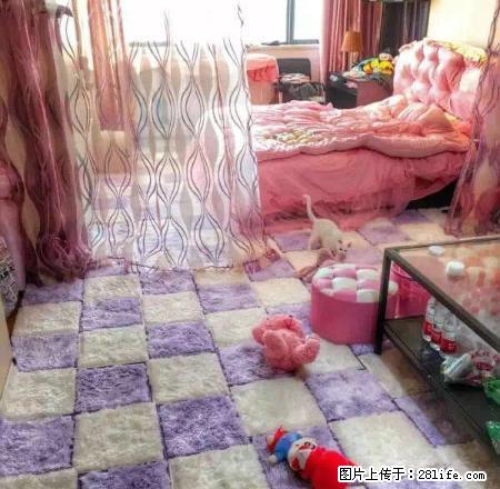 八佰伴 大润发附近 所有公寓这里都有1300起步 - 房屋出租 - 房屋租售 - 嘉兴分类信息 - 嘉兴28生活网 jx.28life.com