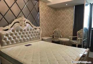 月星家居 泰富 颐高 新文化 单身公寓1300至3000 - 嘉兴28生活网 jx.28life.com