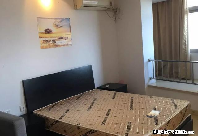 旭辉广场出租可做饭楼层好房子干净民用水电拎包入住随时看房多套 - 房屋出租 - 房屋租售 - 嘉兴分类信息 - 嘉兴28生活网 jx.28life.com