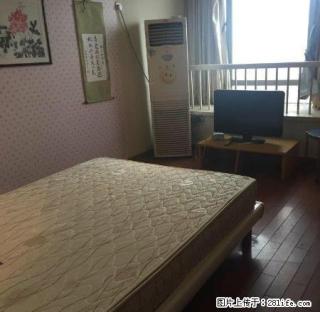 嘉华广场多套房源旭辉凯旋云都涌鑫名典泰富晴湾月星等等大量出租 - 嘉兴28生活网 jx.28life.com