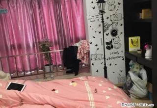 旭辉广场多套房源凯旋云都嘉华涌鑫名典泰富晴湾月星等等大量出租 - 嘉兴28生活网 jx.28life.com