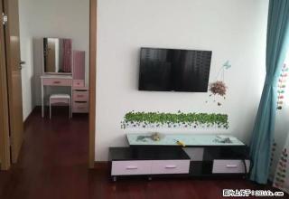 旭辉多套出租一千六到三千五几十套精装修房子干净拎包入住随时看 - 嘉兴28生活网 jx.28life.com