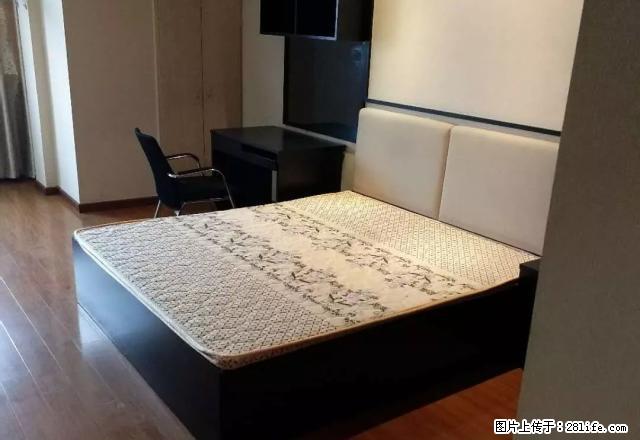 文昌路 新文化广场 精装单身公寓1300起 - 房屋出租 - 房屋租售 - 嘉兴分类信息 - 嘉兴28生活网 jx.28life.com