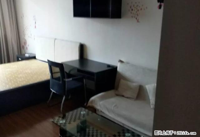 新文化广场 月星家居 泰富世界城多套出租有钥匙随时看（真图） - 房屋出租 - 房屋租售 - 嘉兴分类信息 - 嘉兴28生活网 jx.28life.com