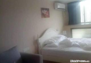 泰富世界城 月星家居 精装公寓 多套随时看 拎包入住 - 嘉兴28生活网 jx.28life.com