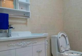 月星家居 泰富世界城 新文化广场多套精装公寓1300起有钥匙 - 嘉兴28生活网 jx.28life.com