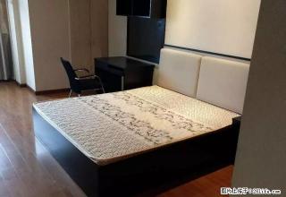 文昌路 新文化广场 精装单身公寓1300起 - 嘉兴28生活网 jx.28life.com