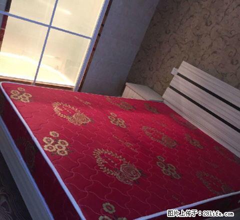 月星 环球 秀洲区 13002500大量精致公寓 随时看 - 房屋出租 - 房屋租售 - 嘉兴分类信息 - 嘉兴28生活网 jx.28life.com