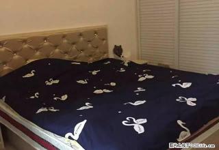 专业租房1400到3000各大公寓随时看 - 嘉兴28生活网 jx.28life.com