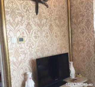 真实图片 江南摩尔 八佰伴 1300到2300 上百套 - 嘉兴28生活网 jx.28life.com