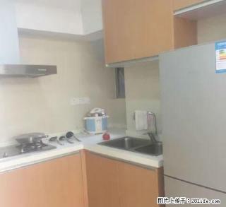 旭辉 云都 凯旋 精装修 几十套 拎包入住 随时看房 - 嘉兴28生活网 jx.28life.com