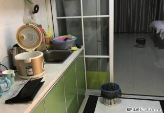 各大公寓都有出租 秀洲区 市中心 随时看 有钥匙 - 嘉兴28生活网 jx.28life.com