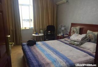 八佰伴中医院旁，中山路附近，名典公寓，大陆世嘉，花旗公寓精装 - 嘉兴28生活网 jx.28life.com