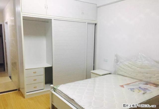 月星 新文化 颐高 泰富 元一柏庄 多套租1300至2000 - 房屋出租 - 房屋租售 - 嘉兴分类信息 - 嘉兴28生活网 jx.28life.com