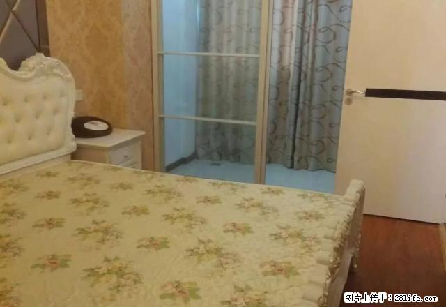 旭辉 新文化 月星 泰富 凯旋 龙鼎 海派 名典 嘉悦 都有 - 房屋出租 - 房屋租售 - 嘉兴分类信息 - 嘉兴28生活网 jx.28life.com