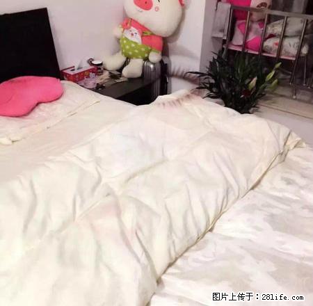 旭辉广场豪华装修 单身公寓 1700起步随时入住 多套 - 房屋出租 - 房屋租售 - 嘉兴分类信息 - 嘉兴28生活网 jx.28life.com