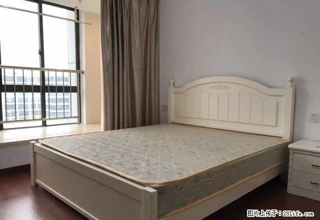 大润发旁 精装单身公寓 1200起步 大量钥匙 随时看 - 房屋出租 - 房屋租售 - 嘉兴分类信息 - 嘉兴28生活网 jx.28life.com