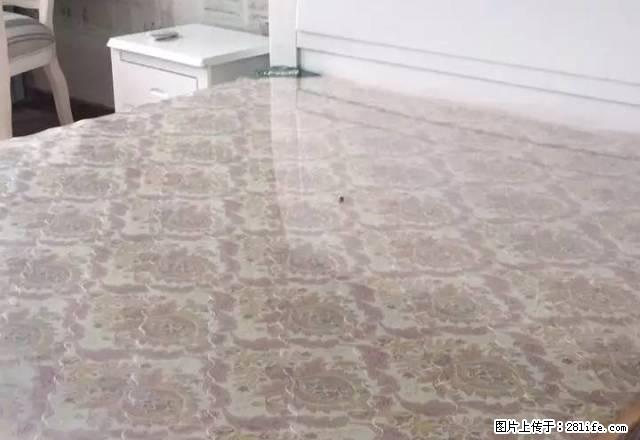 可付一压一 精装 公寓 月星家居 多套钥匙 随时看 - 房屋出租 - 房屋租售 - 嘉兴分类信息 - 嘉兴28生活网 jx.28life.com