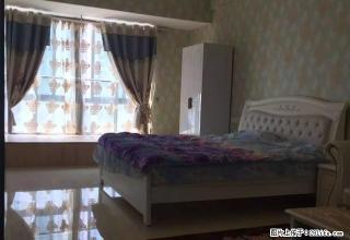 市中心 豪华装修 单身公寓 1400起步随时入住 多套 - 嘉兴28生活网 jx.28life.com