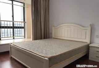 大润发旁 精装单身公寓 1200起步 大量钥匙 随时看 - 嘉兴28生活网 jx.28life.com