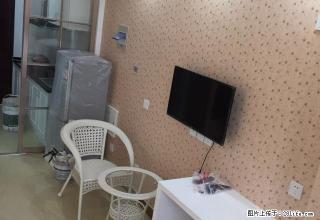 月星家居单身公寓 欧式 全新 都有 随时可以看1200起步 - 嘉兴28生活网 jx.28life.com