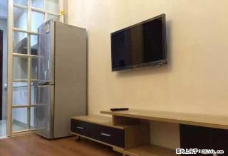 月星家居 单身公寓1400起多套钥匙 还有月付 - 嘉兴28生活网 jx.28life.com