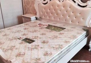 市区 豪华新公寓 八佰伴附近 随时看多套1550起 - 嘉兴28生活网 jx.28life.com