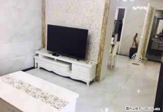 元一柏庄 三房2000到3500大量房源 可月付 看房方便 - 嘉兴28生活网 jx.28life.com