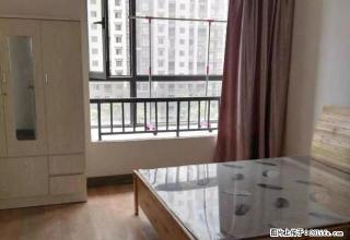 (单间出租)金都夏宫，单间合租。设施齐全。有网。拎包入住 - 嘉兴28生活网 jx.28life.com