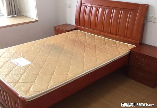 月星精装单身公寓，包物业1400 - 房屋出租 - 房屋租售 - 嘉兴分类信息 - 嘉兴28生活网 jx.28life.com